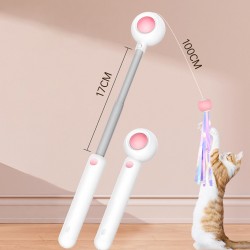 Custom Cat Wand Toy and Laser Stick Cat Ball