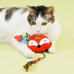 Custom Cat Plush Toy and Canvas Pet Plush Toy for pets