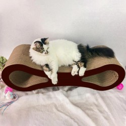 Cat Cardboard Box