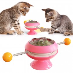 Catnip Toy