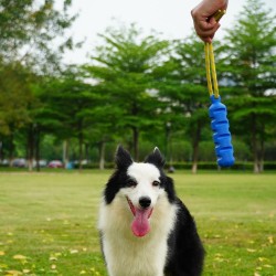 Custom Dogs Chew Toy and Rubber Teeth Cleaning Dog Toy