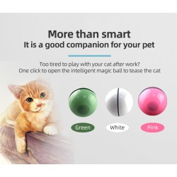 Wholesale Rolling Kitten Ball and Cat Toys Motion Ball