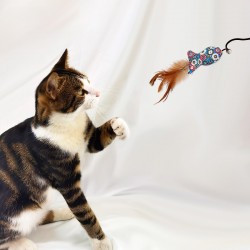 Cat Teaser Toy