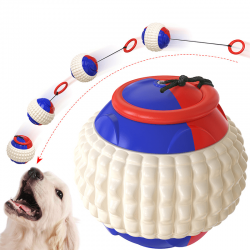 Dog Chew Ball