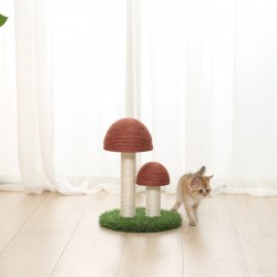 Cat Scratcher Mushroom