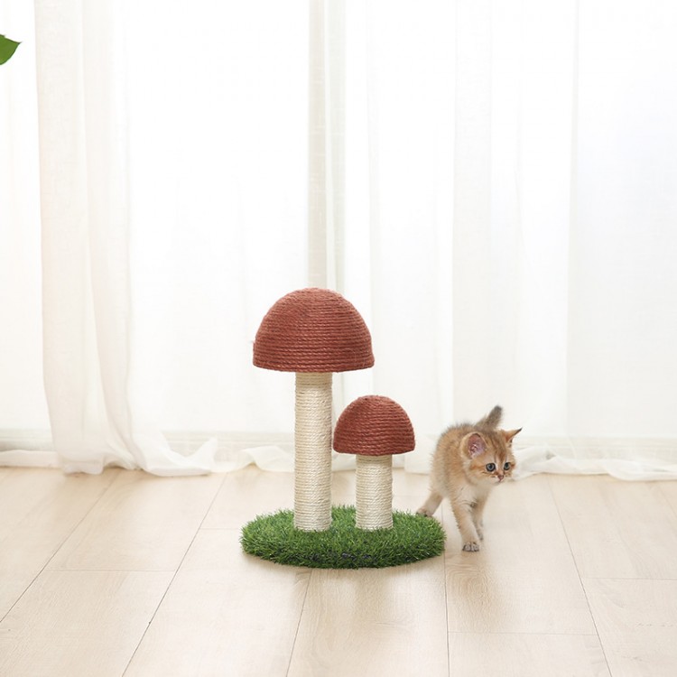Cat Scratcher Mushroom Cat Scratcher Mushroom