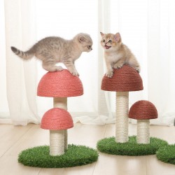 Custom Cat Scratcher Mushroom