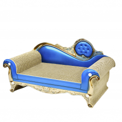 Scratching Sofa
