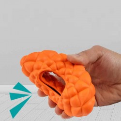 Dog Donut Toy