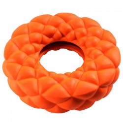 Dog Donut Toy