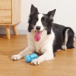 Custom Dog Rubber Bone