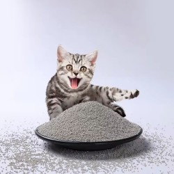 Clumping Deodorize Cat Litter