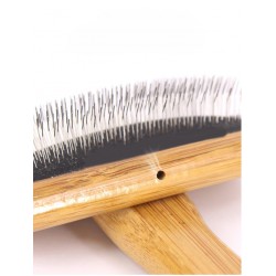 Grooming Small & Medium-Sized Pets