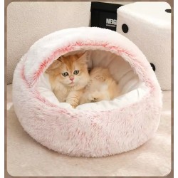Cave Ideal for Rest or Feeding