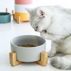 Wholesale Pet Wooden Bowl Multi-Colors Rounded Shape