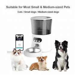 Pet Feeder Bowls