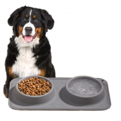 Wholesale Dog Silicone Bowl