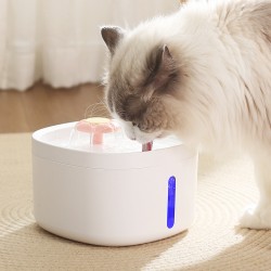 Water Fountain