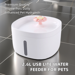 Wholesale Pet Water Fountain Plastic Cat Drinking Fountain With Box Packing for Dogs and Cats