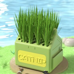 Wholesale Cat Potted Plants