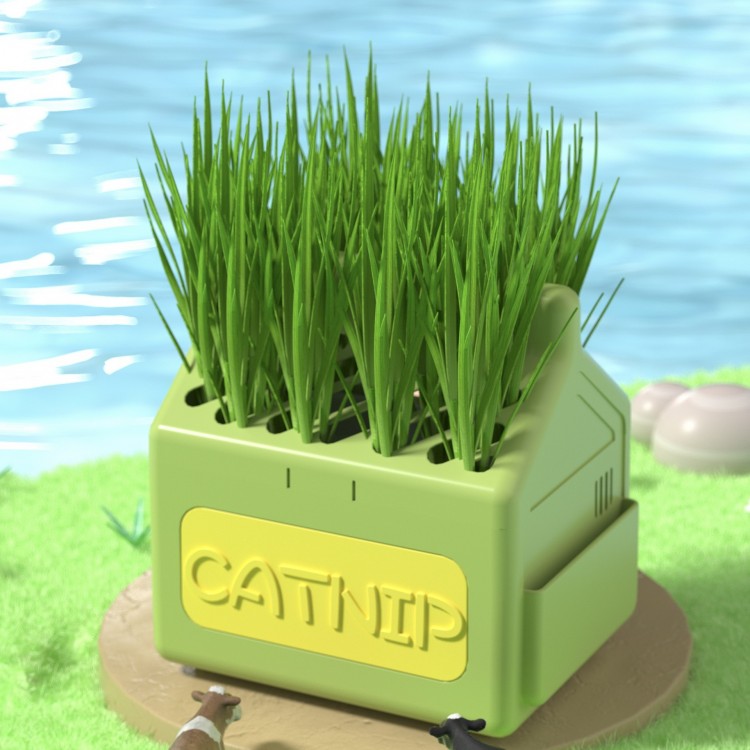 Wholesale Cat Potted Plants Wholesale Cat Potted Plants