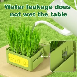 Wholesale Cat Potted Plants Soilless Hydroponic Planting Growing Kit Box Catnip Cat Grass Box Planter