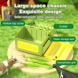 Wholesale Cat Potted Plants Soilless Hydroponic Planting Growing Kit Box Catnip Cat Grass Box Planter