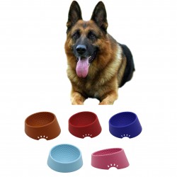 Food Bowl