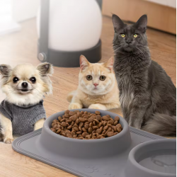 Dog Folding Bowl