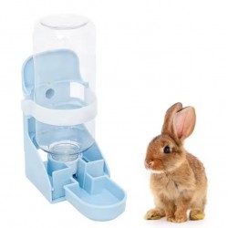 Custom Bunny Water Dispenser