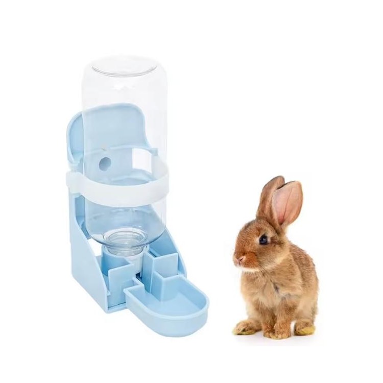 Custom Bunny Water Dispenser Custom Bunny Water Dispenser