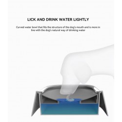 Water Dispenser