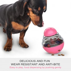 Doggy Feeder Bowl