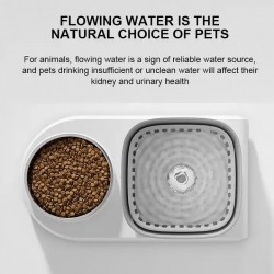Water Fountain