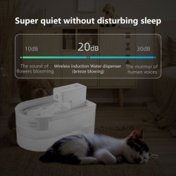 Water Dispenser