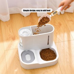 Cat Food Bowl