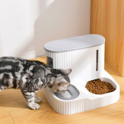 Food Bowl