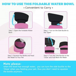 Food Bowl
