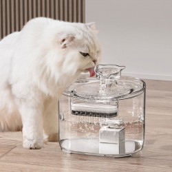Cat Drinking Fountain