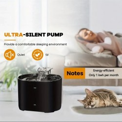 Custom Cat Water Fountain
