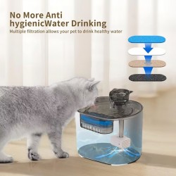 Water Fountain