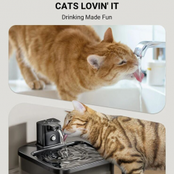 Dogs Water Dispenser