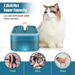 Water Fountain