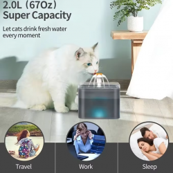 Transparent Pet Water Fountain Automatic Circulating with Filter Easy to Clean for Cats Dogs