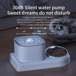 Pet Water Fountain