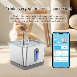 Water Fountain