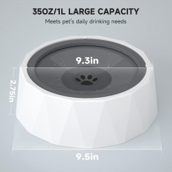 Water Dispenser