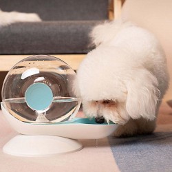 Water Dispenser