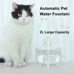 Pet Water Dispenser