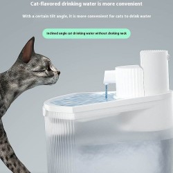 Water Dispenser